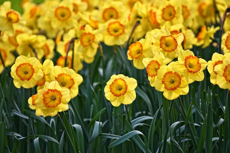 Wooden Crate Flower Bed